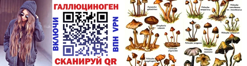Галлюциногенные грибы Cubensis  хочу наркоту  Олёкминск 